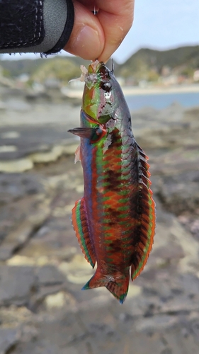 興津港海浜公園