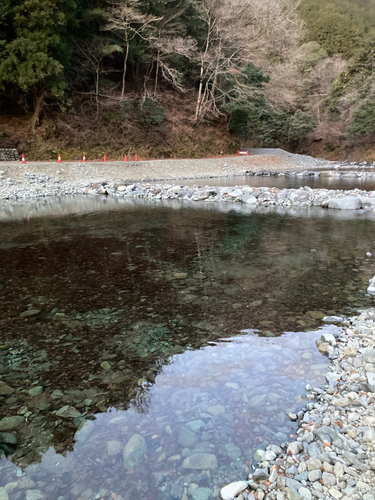 トラウトの釣果