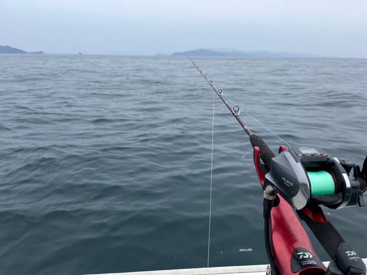 BOZUさんの釣果 2枚目の画像