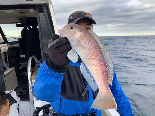 シロアマダイの釣果