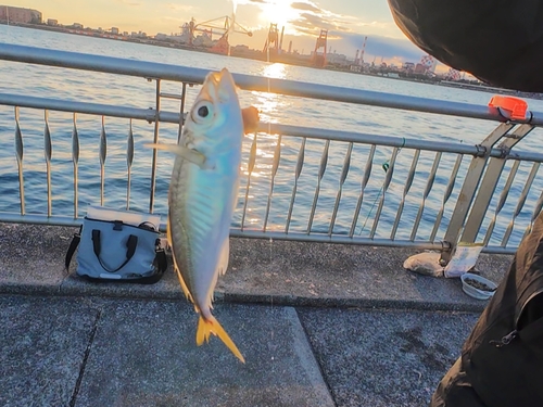 東扇島西公園