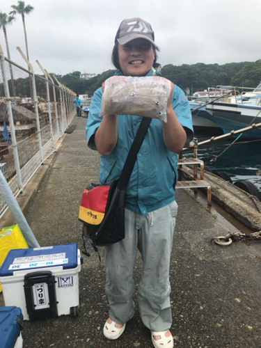 マルイカの釣果