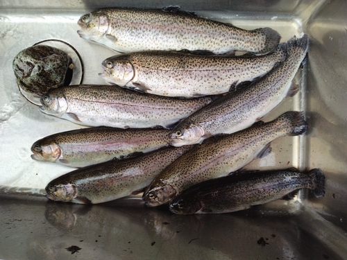 うらたんざわ渓流釣場