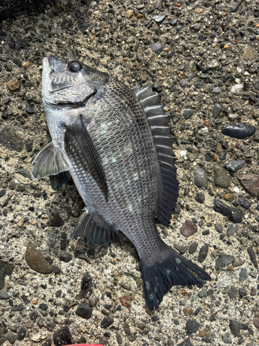 表浜名湖