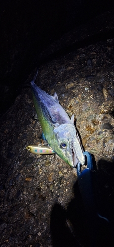 網代浜海水浴場