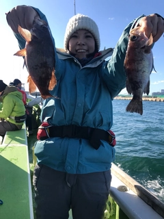 クロメバルの釣果