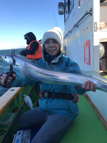 タチウオの釣果