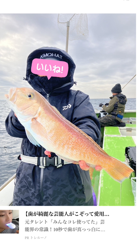 シロアマダイの釣果