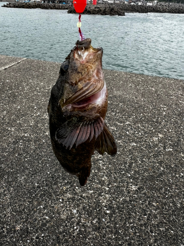 鴨川湾