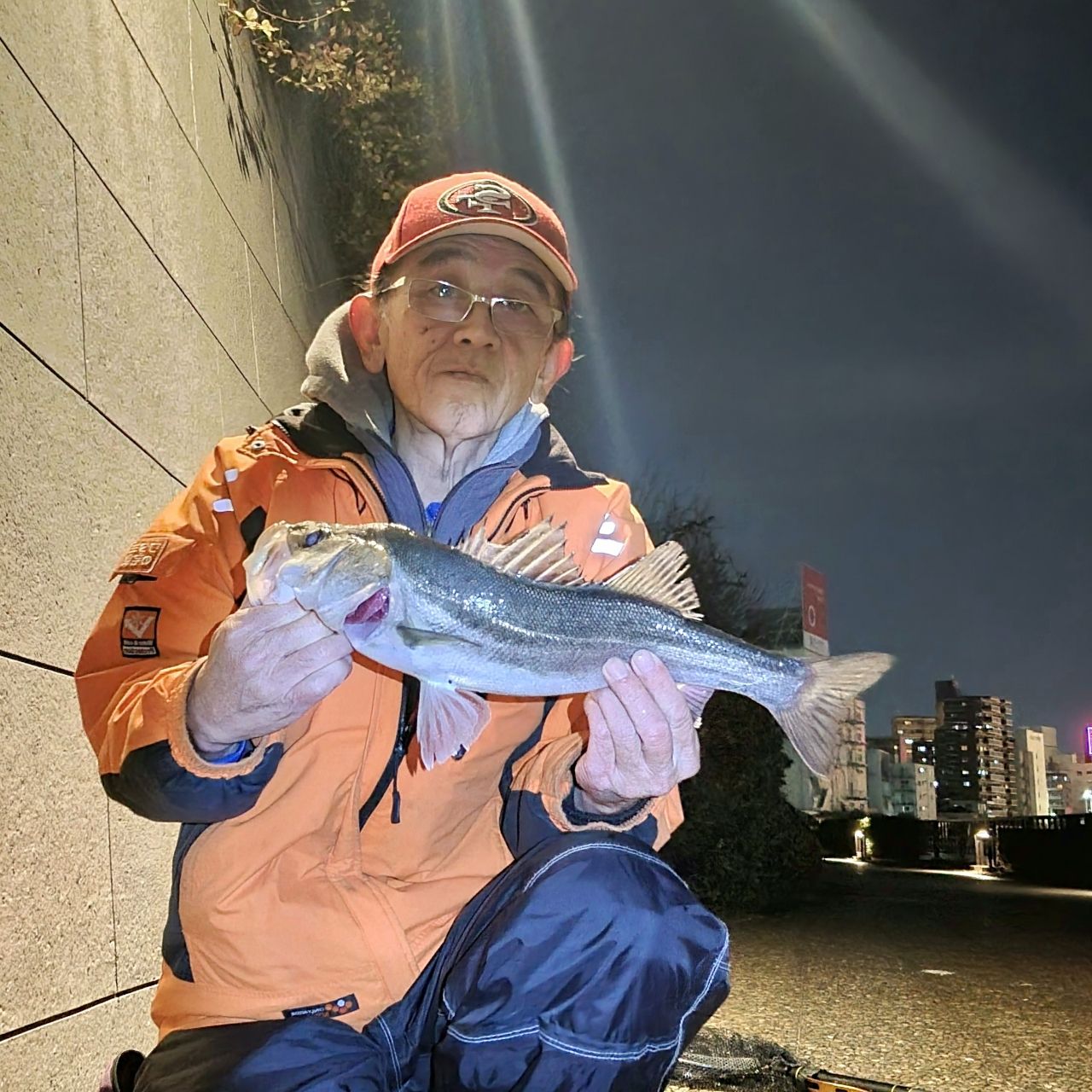シーバス