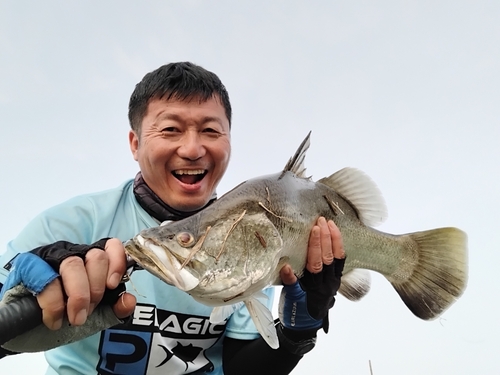 バラマンディの釣果