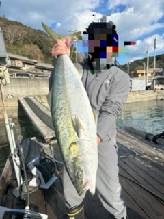 ブリの釣果