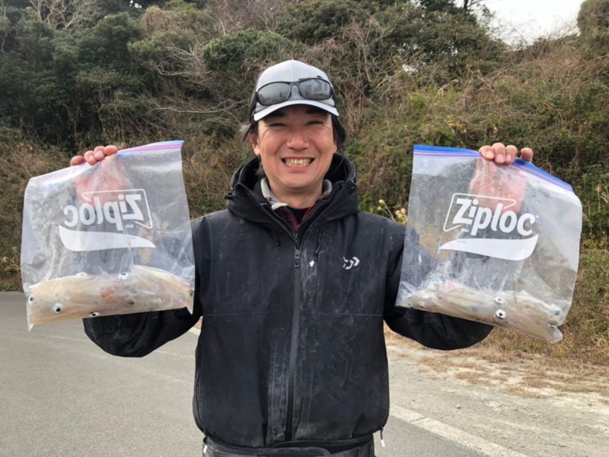 イカ時々魚さんの釣果 2枚目の画像