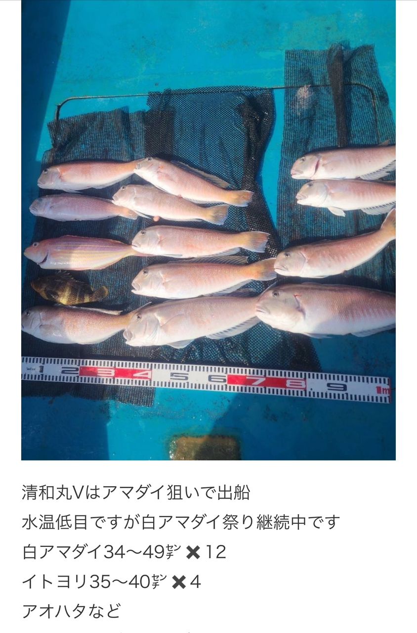 清和丸さんの釣果 2枚目の画像