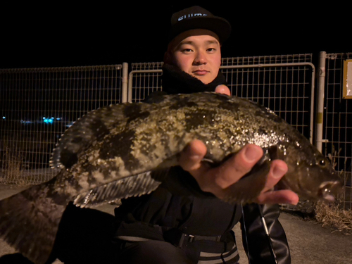 アイナメの釣果