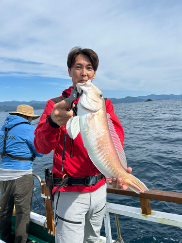 シロアマダイの釣果