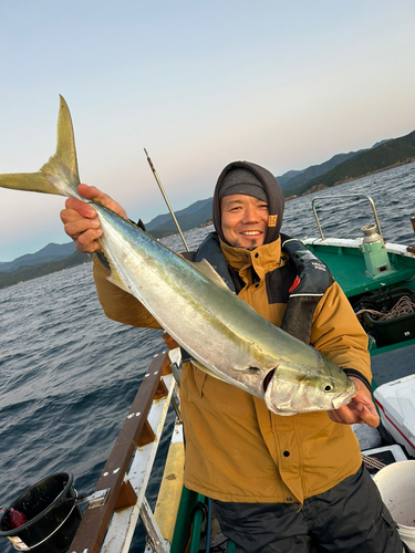 ブリの釣果