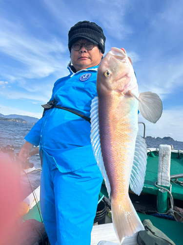 シロアマダイの釣果