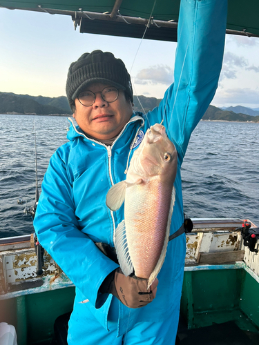 シロアマダイの釣果