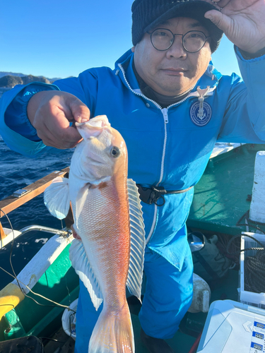 シロアマダイの釣果