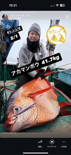 キハダマグロの釣果