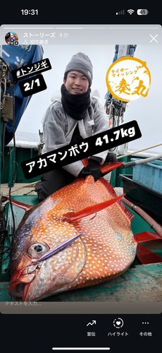 キハダマグロの釣果