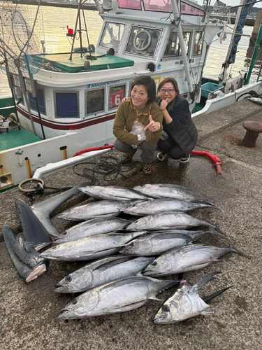 キハダマグロの釣果