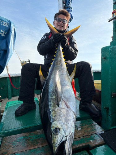 キハダマグロの釣果