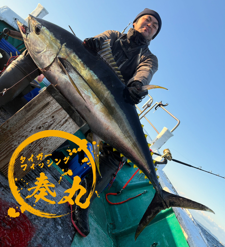 キハダマグロの釣果