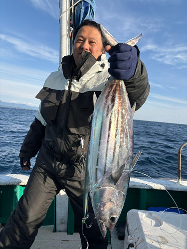 キハダマグロの釣果