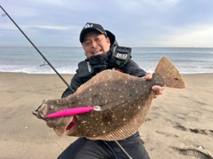 ヒラメの釣果