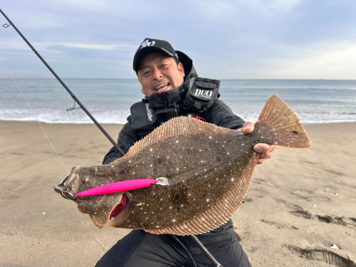 ヒラメの釣果