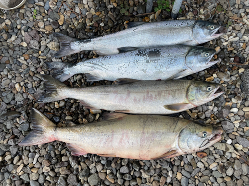 内浦湾（北海道）