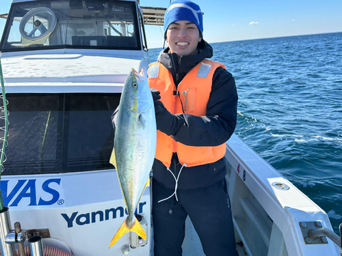 イナダの釣果