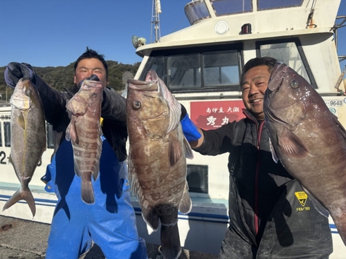 マハタの釣果