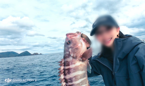 マハタの釣果