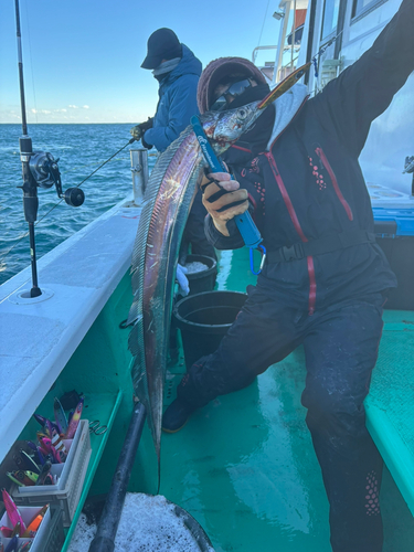 タチウオの釣果