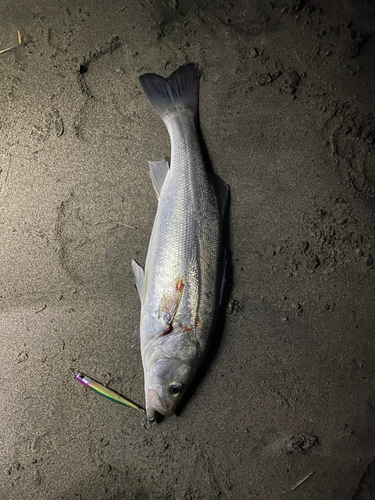 表浜名湖