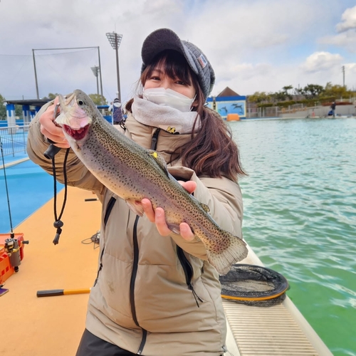 ニジマスの釣果