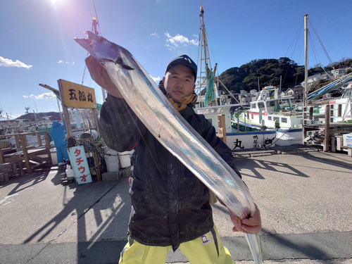 タチウオの釣果