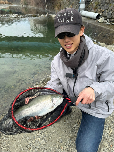 ニジマスの釣果