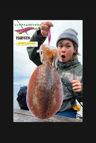 タコの釣果