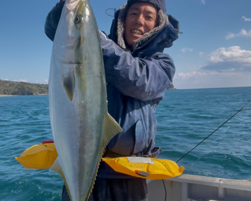 ブリの釣果