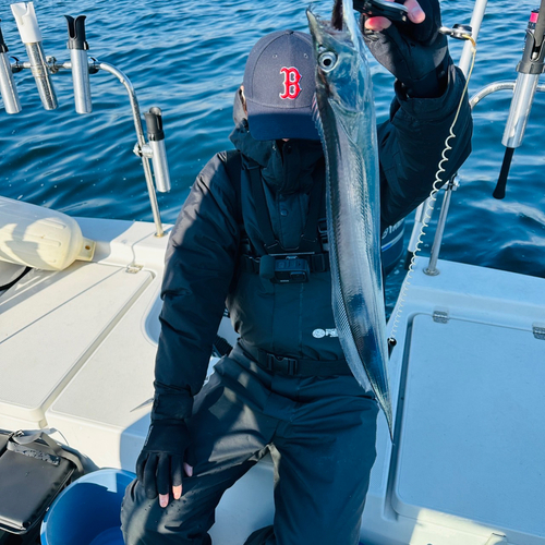 タチウオの釣果