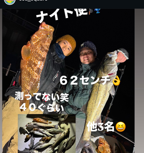 シーバスの釣果