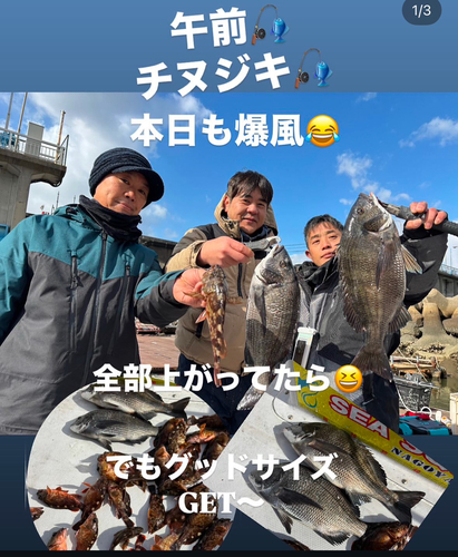 クロダイの釣果