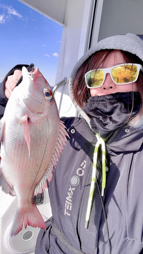 タイの釣果