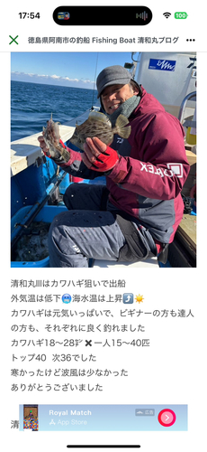 カワハギの釣果