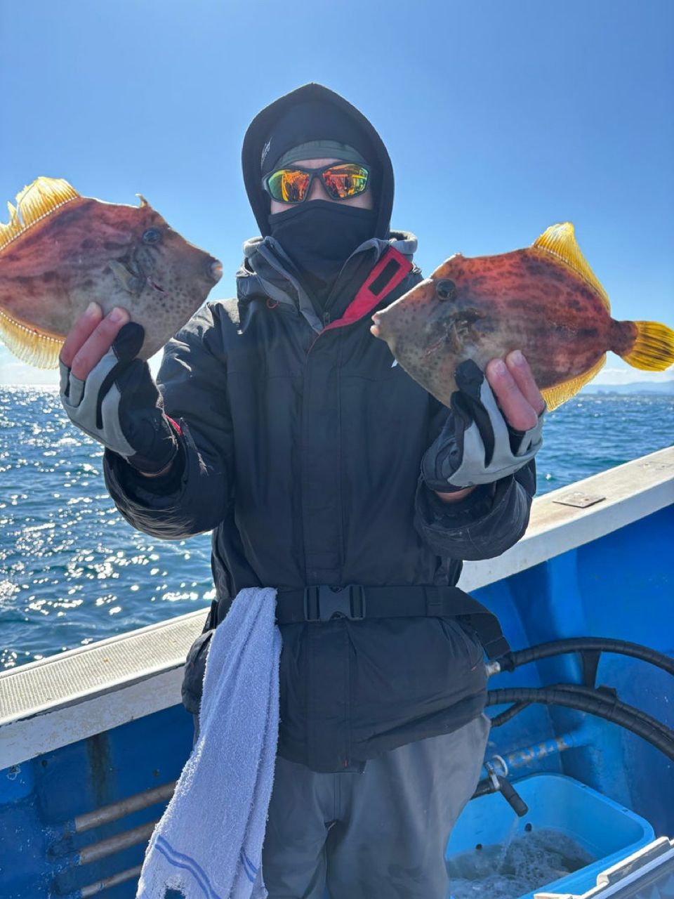 清和丸さんの釣果 3枚目の画像