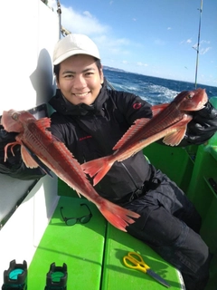 ホウボウの釣果